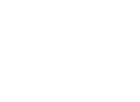 CamSolution